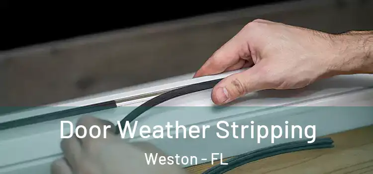 Door Weather Stripping Weston - FL