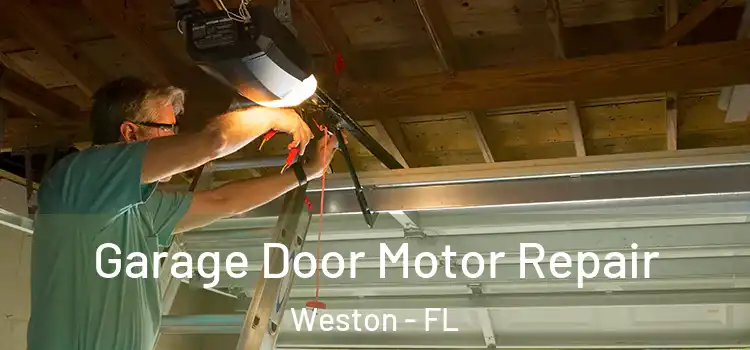  Garage Door Motor Repair Weston - FL