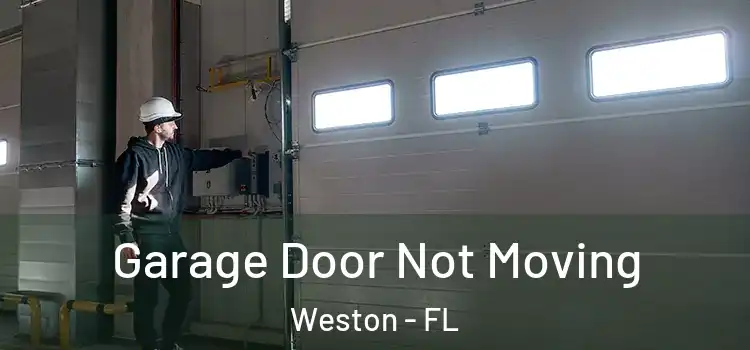  Garage Door Not Moving Weston - FL
